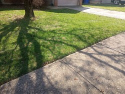 Mowing, weed eating and edging job