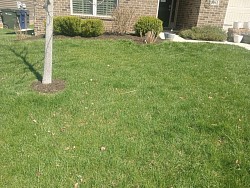 Pressure Washing job and mulching job