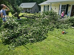 Tree cleanup