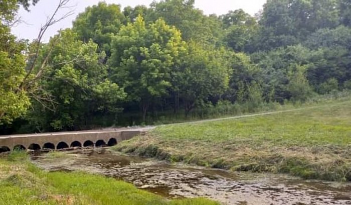 Steel Blading the creek