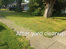 After mowing and cleanup up yard