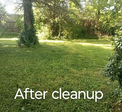 After mowing/weedeating