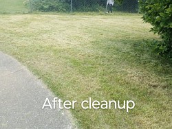 After lawn cleanup