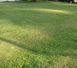 Mowing high grass