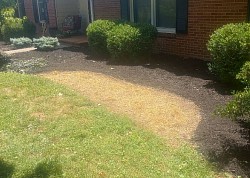 Landscape/seeding job